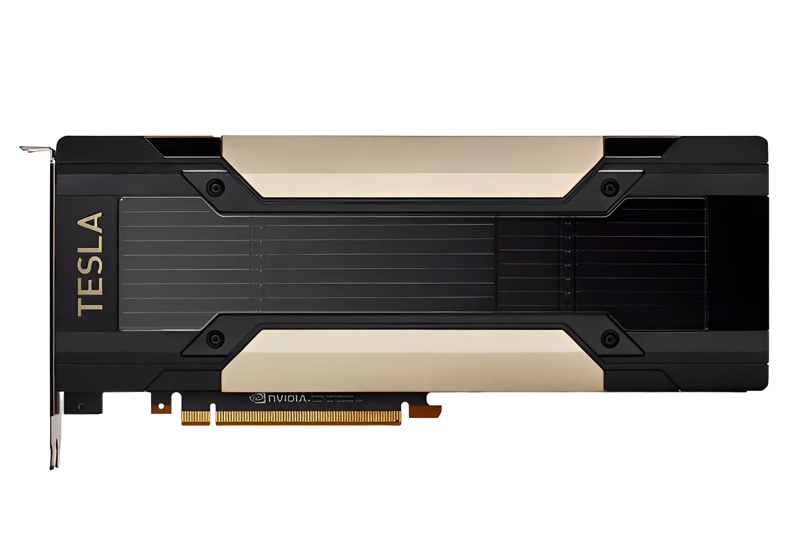 V100/P100/T4/P4/P40/M10/M40 GP - Ddr5 8Gb 评论和价格