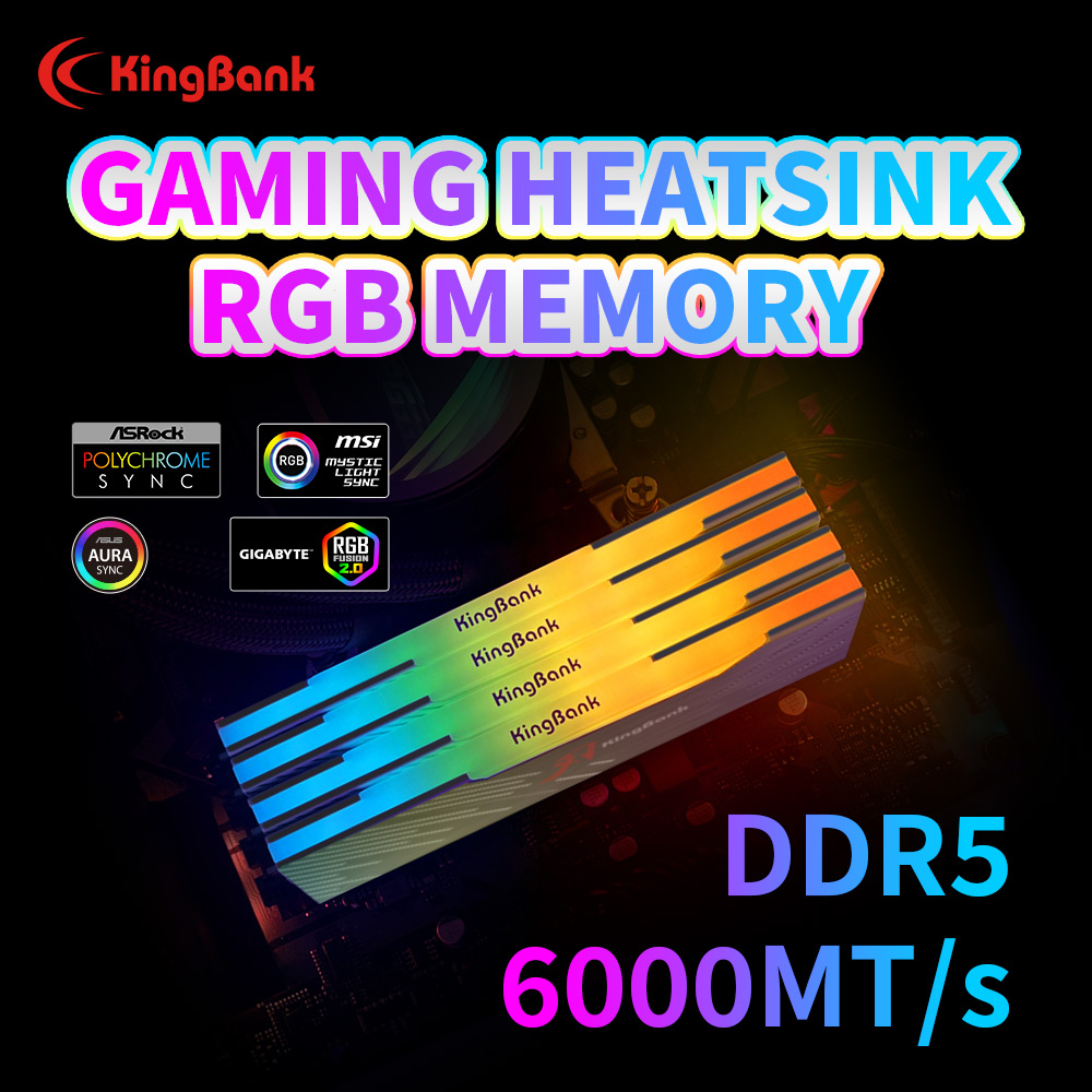 KingBank KRRB DDR5 RGB 16GB /1 - Ddr5 6000Mhz 评论和价格